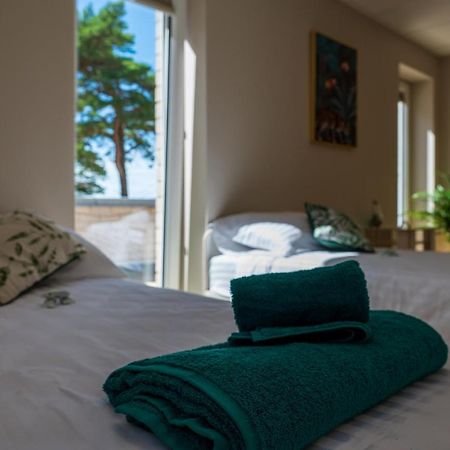 Joesuu Guesthouse Vaana-Joesuu Екстер'єр фото
